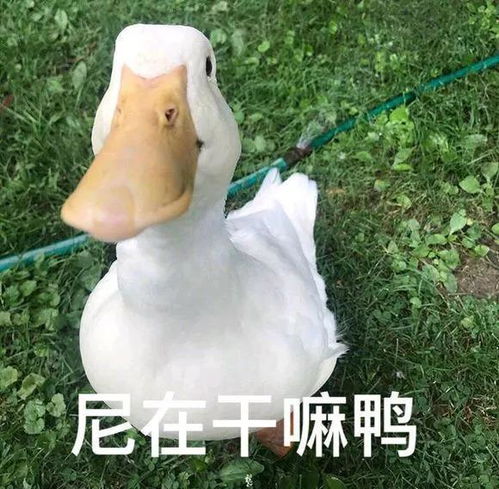 小矮个千万别穿这几款鞋,不仅显矮还非常丑