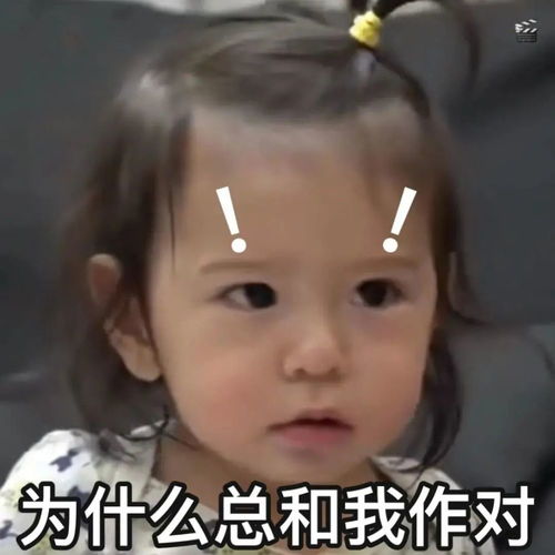 表情包我真没睡