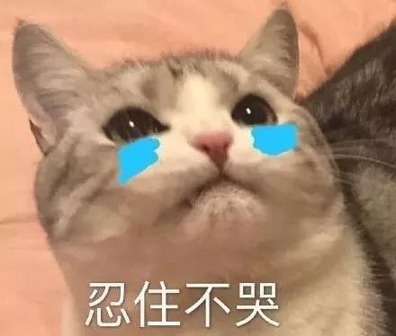 每九十秒卖一件的加拿大鹅假货泛滥上万中国人受骗,官方紧急发布防伪警告