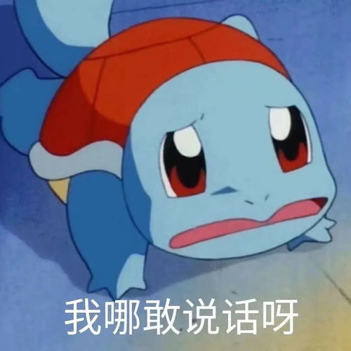 11粉心中的痛是什么