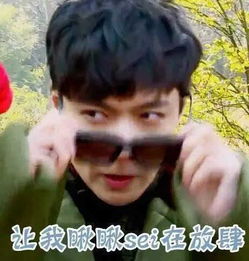 张艺兴表情包图片大全帝王之相