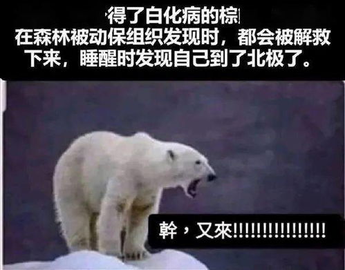 无聊图热榜0322