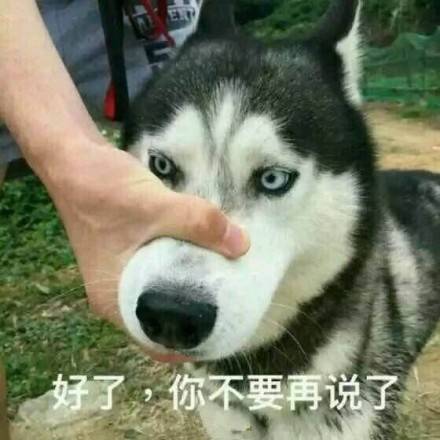 天津相声广播一早起来你发现和谁互换身体了