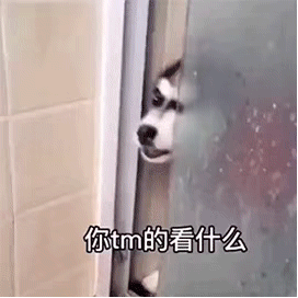 微信聊天沙雕动态表情包左脚再右脚左翘右唉不对左抬腿