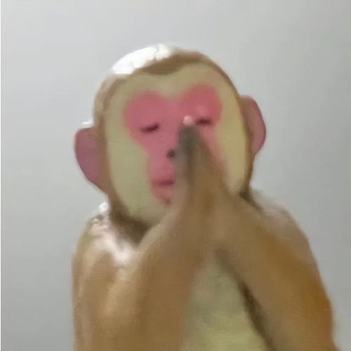 小猴子祷告表情包
