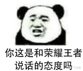 表情包不你不想王者荣耀