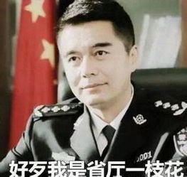 在吗表情包哥哥原创祁同伟