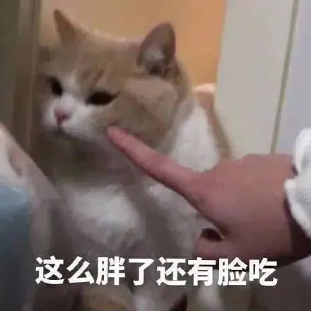 表情包这么胖了还吃