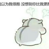hamham小仓鼠傲娇脸可爱表情包手绘灰仓鼠表情包