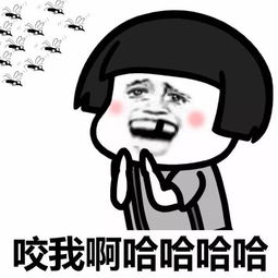三款新iphone价格曝光,历史新低
