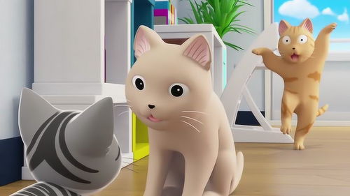 甜甜私房猫三个猫咪在打架吗