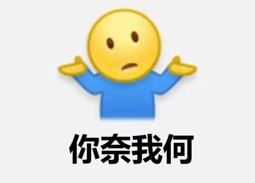 给跪了目测这个表情包要火快来刷刷刷