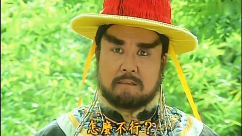 乱套了皇帝中意尔康当女婿,要把小燕子许配给尔康,紫薇咋办