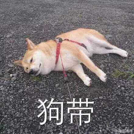 有那些有趣儿的英语单词