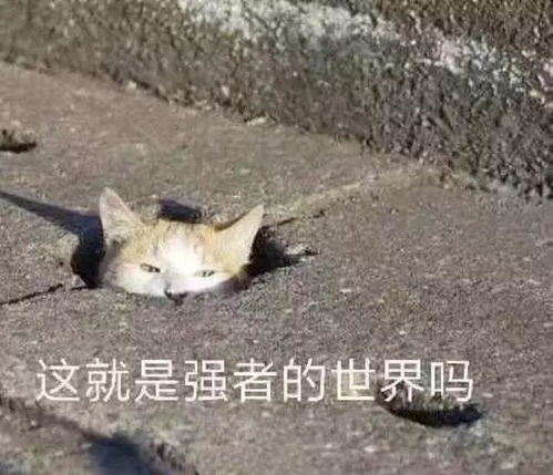 还嫌不够黑黄黑皮这些雷区千万不要踩