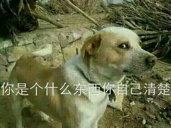 高级怼人的表情包对不起,我不该比你帅,你不服的话我也没法