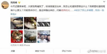 摸鱼鱼表情包什么意思巩高峰