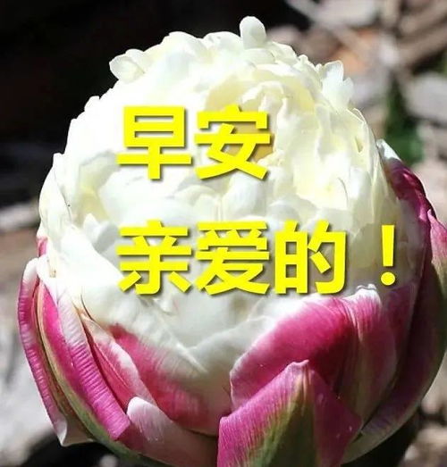 12月4日清晨早上好动态表情图片大全新版微信早上好表情动态图片