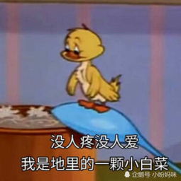 猫和老鼠表情包之厌世篇没人疼没人爱,我是地里的一颗小白菜