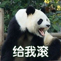 一波大熊猫萌系表情包