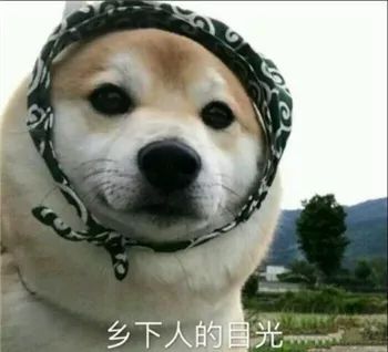 强壮狗子表情包