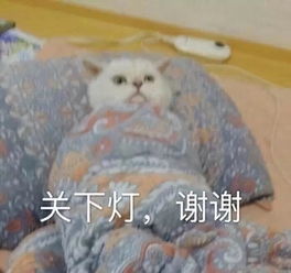 伪球迷的俄罗斯世界杯,短而美的旅程五天暴走莫斯科圣彼得堡索契