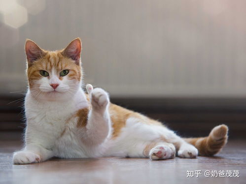 洗衣凝珠,神器or骗局选购指南看完速成老司机