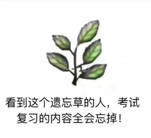 大学生期末复习图鉴