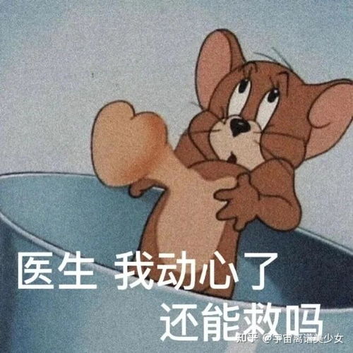 有没有什么高质量靠谱而且不用下载的社交平台可结婚的那种