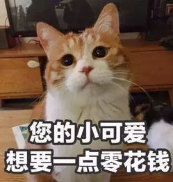 大学生应该自己承担教育费和生活费吗