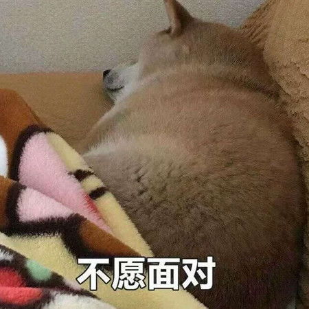 很皮很搞笑的表情包喜欢一个人太累了,所以我喜欢了10个