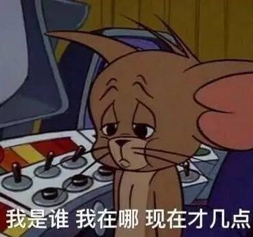 猫和老鼠表情包合集