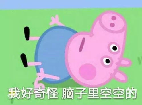 哭晕在厕所我是西安人,身价还没有小猪佩奇高