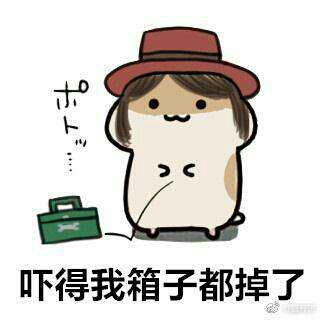 是d5群宣鸭哔哩哔哩
