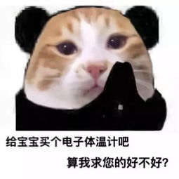我已经闭嘴了表情包表情