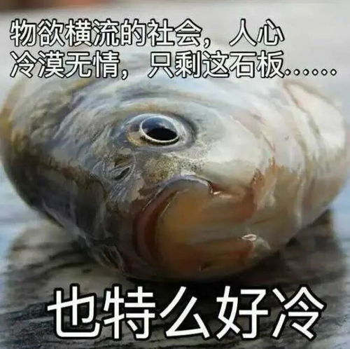 咸鱼自救指南什么也不想做的倦怠期,该如何获取能量