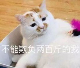 送你们可以哄对象的可爱的表情包