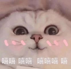 刚刚2020年初级成绩合格标准发布多地财政厅发布重要通知
