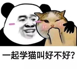 调戏小哥哥专用表情包,嘻嘻嘻,真皮腾讯网