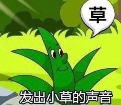田柾国是不是喜欢lisa