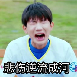 王源哭泣表情包