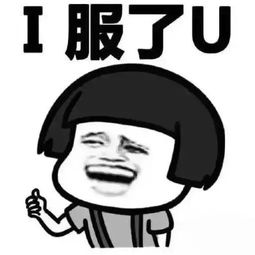 拿走不谢,正安县广告公司复古表情包