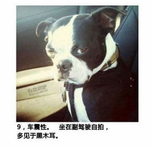 最常见的几种自拍你属于哪种