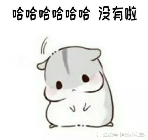 仓鼠表情包你一定会遇到更好的