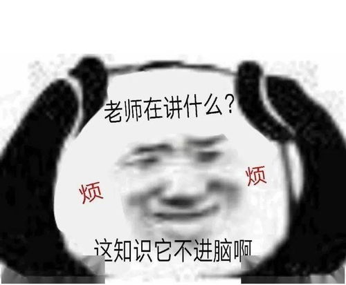 熊猫头表情包丨美女推了推墨镜