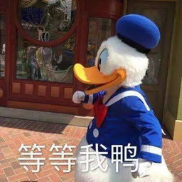 政预告大型宿舍亮灯活动又来了