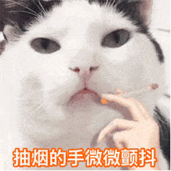 抖音最新套路表情包