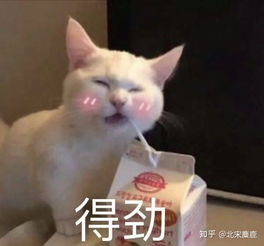有哪些让人看到就开心的图片或者表情包啊