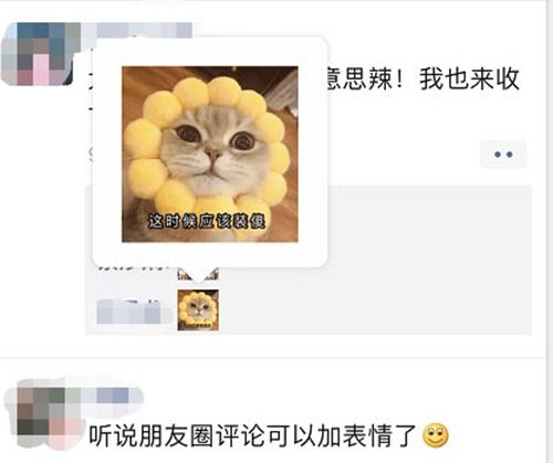驱动晚报微信朋友圈评论表情包功能已无法使用大搜车姚军红发公开信请竞争对手堂堂正正地竞争