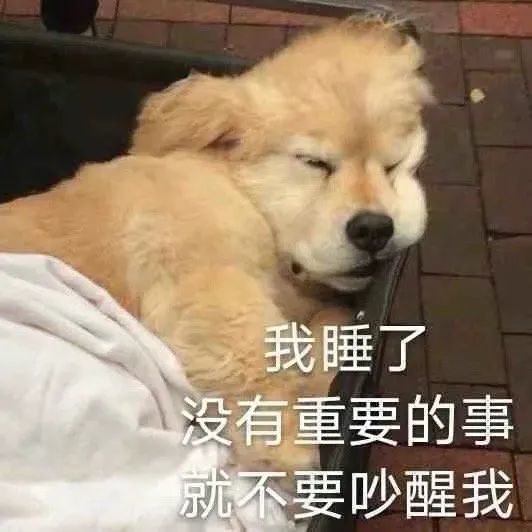 狗狗发抖的表情包狗狗